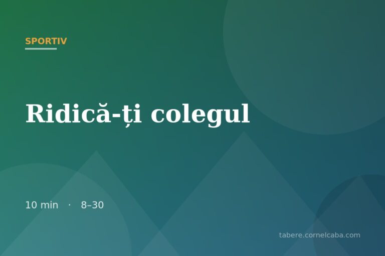 Ilustrație pentru jocul Ridică-ți colegul