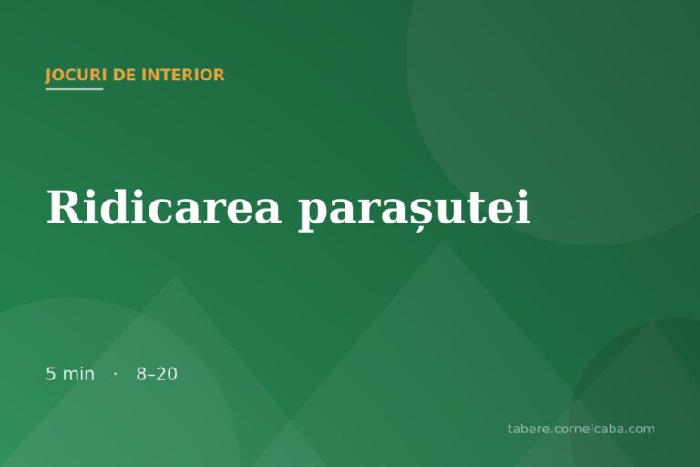 Ilustrație pentru jocul Ridicarea parașutei