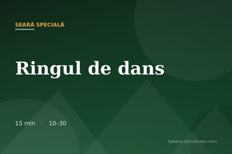 Ilustrație pentru jocul Ringul de dans