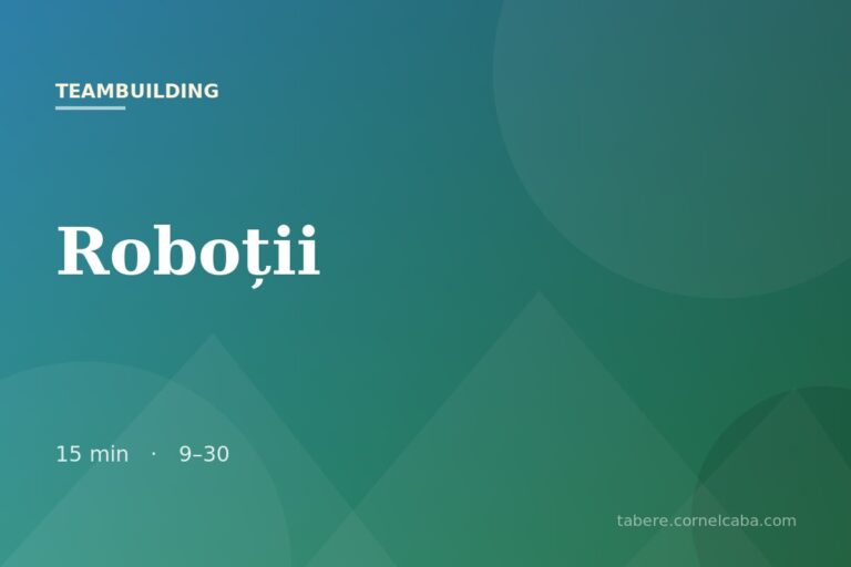 Ilustrație pentru jocul Roboții