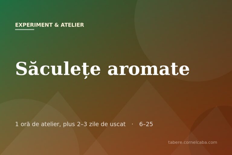 Ilustrație pentru jocul Săculețe aromate