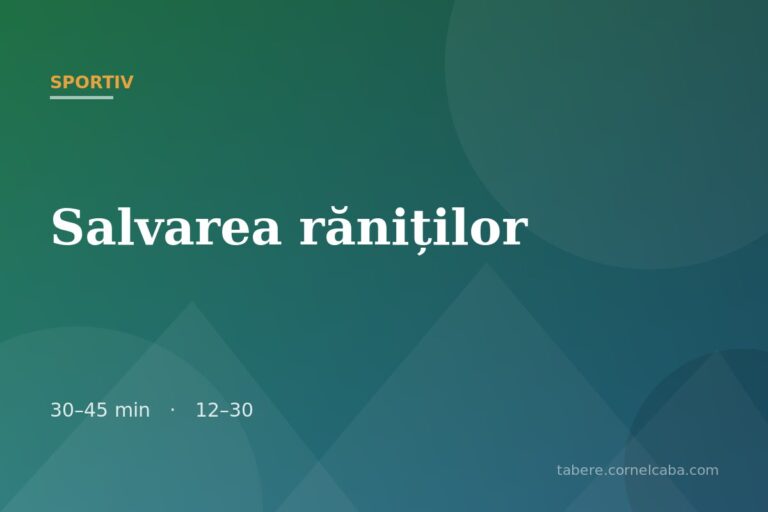 Ilustrație pentru jocul Salvarea răniților