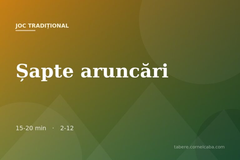 Ilustrație pentru jocul Șapte aruncări