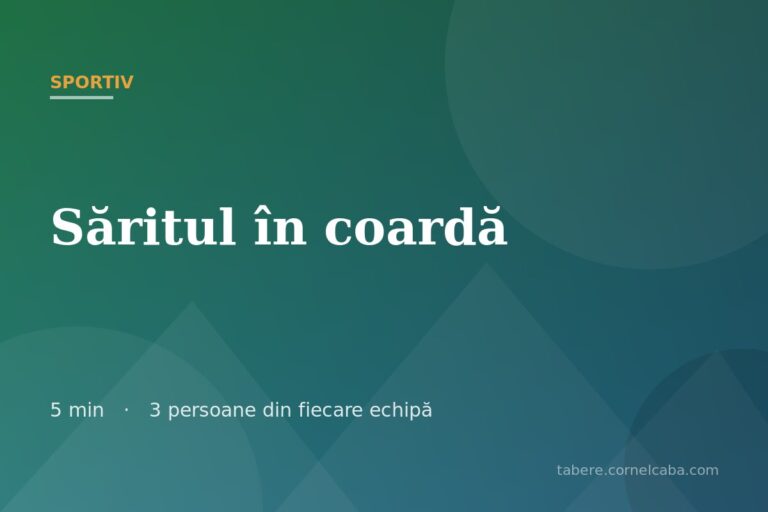 Ilustrație pentru jocul Săritul în coardă