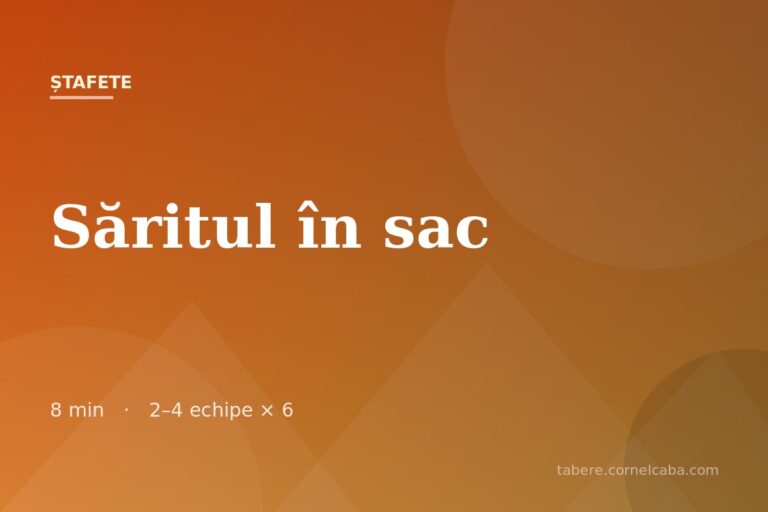 Ilustrație pentru jocul Săritul în sac