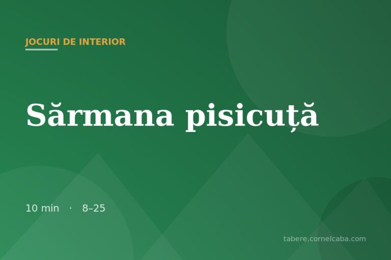 Ilustrație pentru jocul Sărmana pisicuță