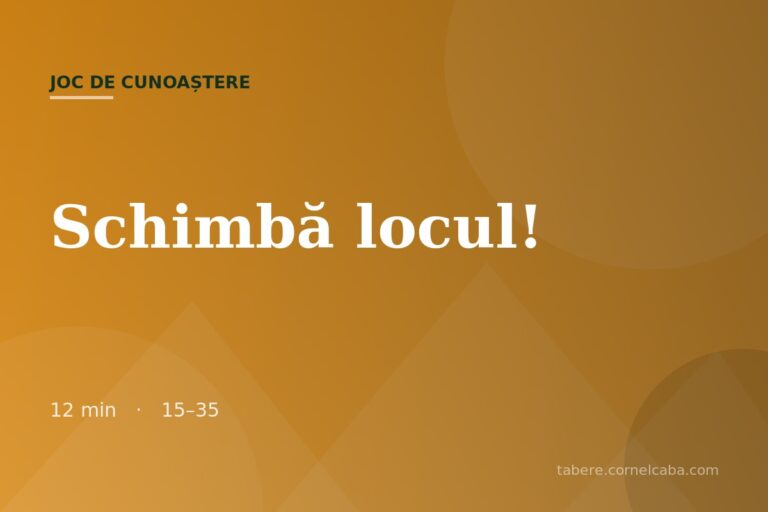 Ilustrație pentru jocul Schimbă locul!
