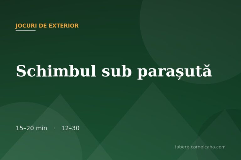 Ilustrație pentru jocul Schimbul sub parașută