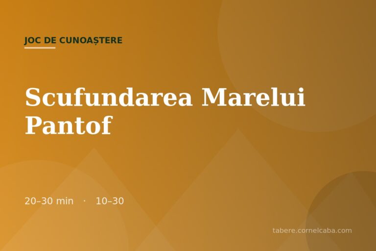 Ilustrație pentru jocul Scufundarea Marelui Pantof
