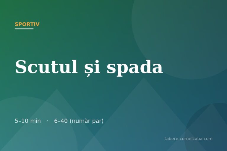 Ilustrație pentru jocul Scutul și spada