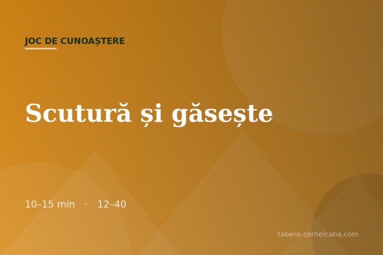 Ilustrație pentru jocul Scutură și găsește