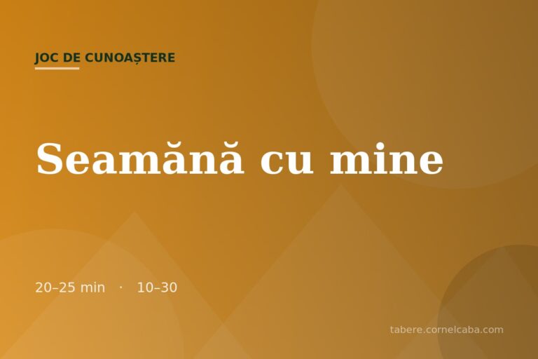 Ilustrație pentru jocul Seamănă cu mine