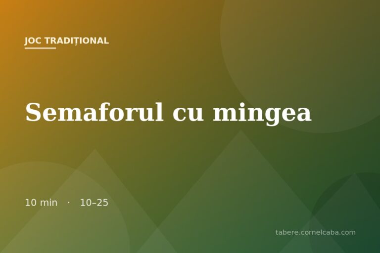 Ilustrație pentru jocul Semaforul cu mingea