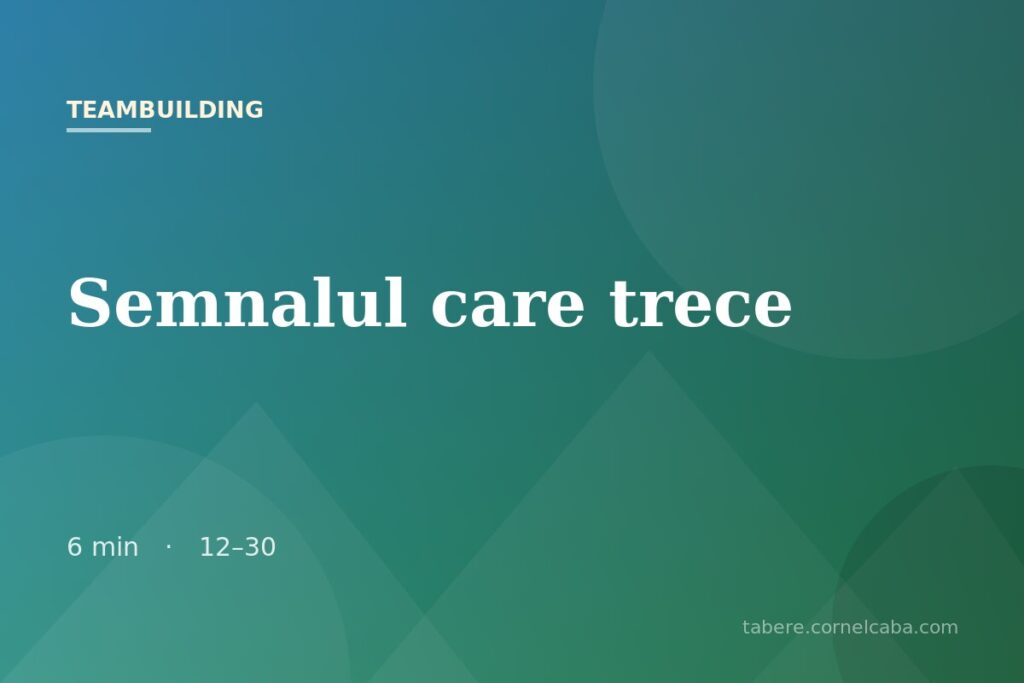 Ilustrație pentru jocul Semnalul care trece