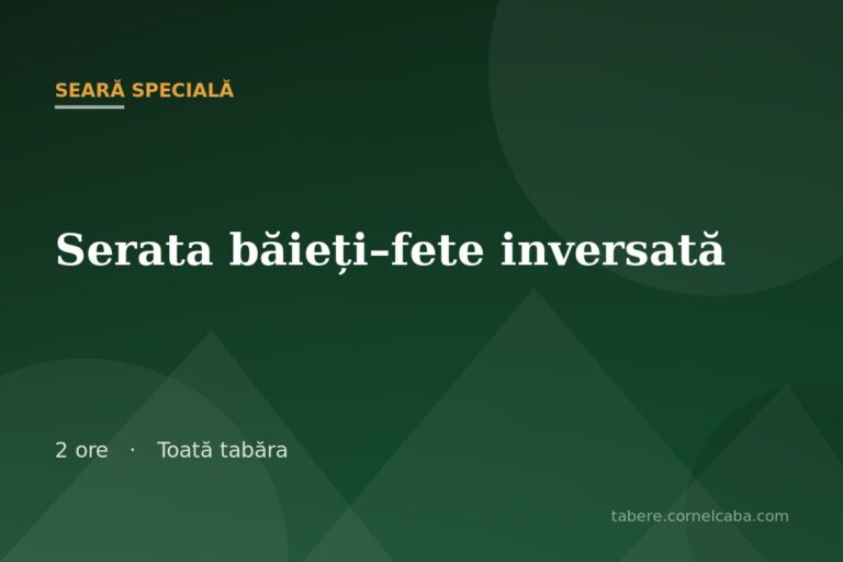 Ilustrație pentru jocul Serata băieți–fete inversată