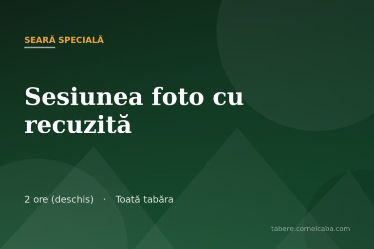 Ilustrație pentru jocul Sesiunea foto cu recuzită