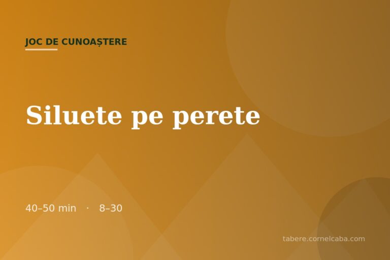 Ilustrație pentru jocul Siluete pe perete