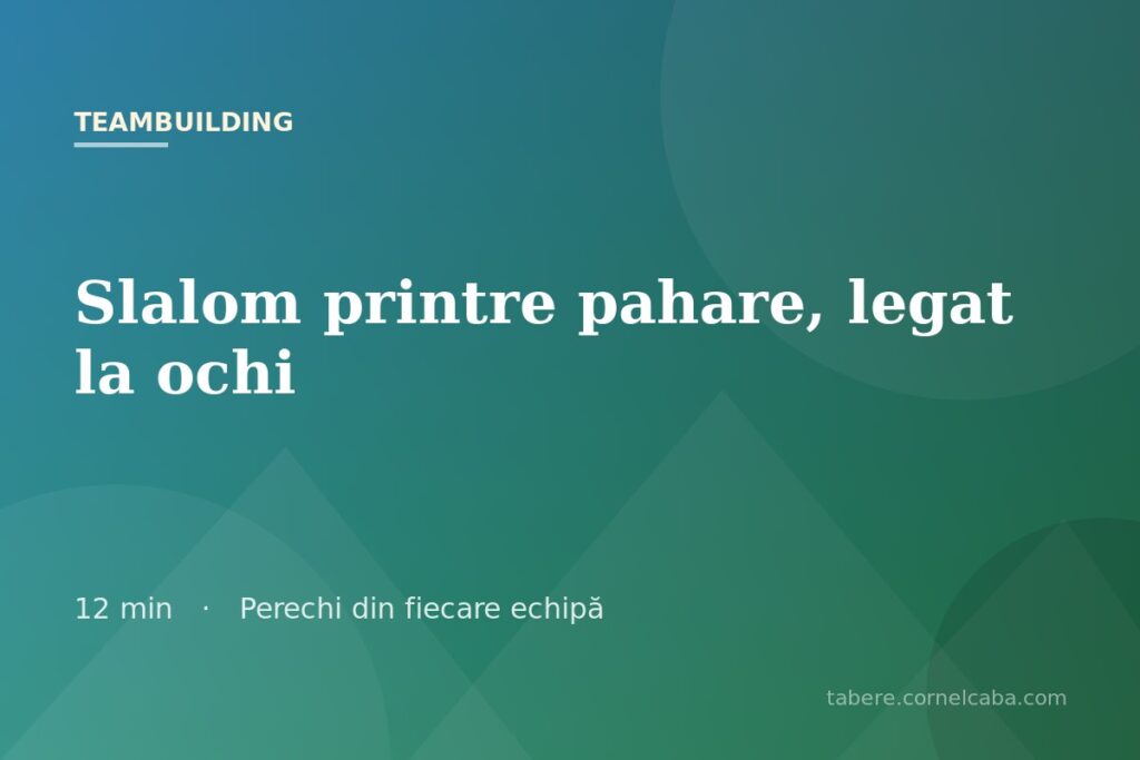 Ilustrație pentru jocul Slalom printre pahare, legat la ochi