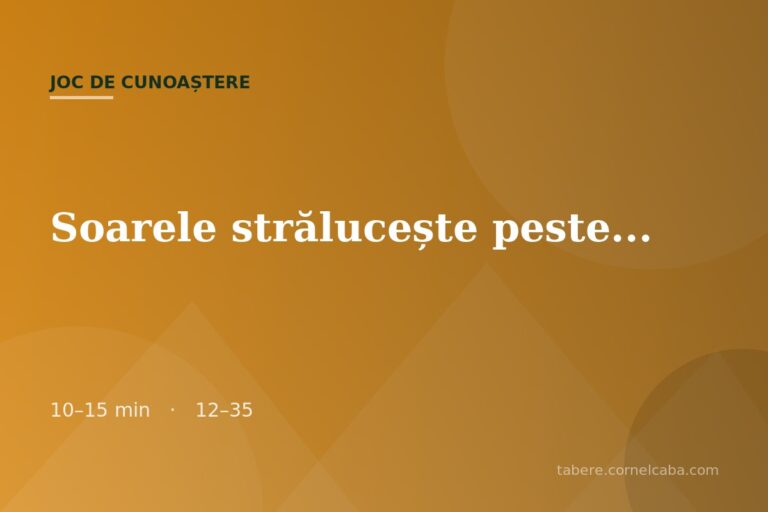 Ilustrație pentru jocul Soarele strălucește peste…