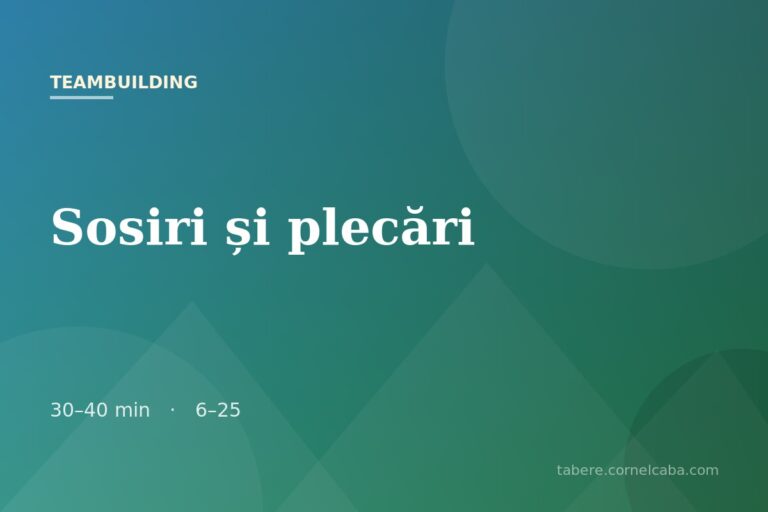 Ilustrație pentru jocul Sosiri și plecări