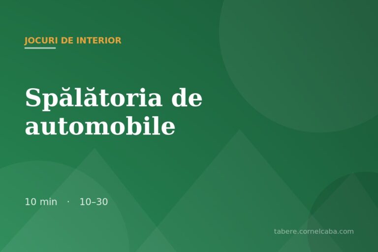 Ilustrație pentru jocul Spălătoria de automobile
