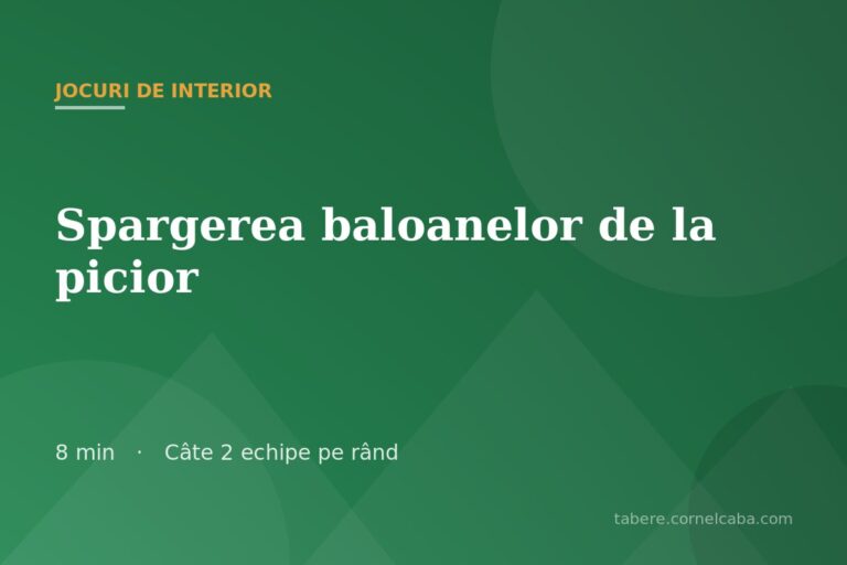 Ilustrație pentru jocul Spargerea baloanelor de la picior
