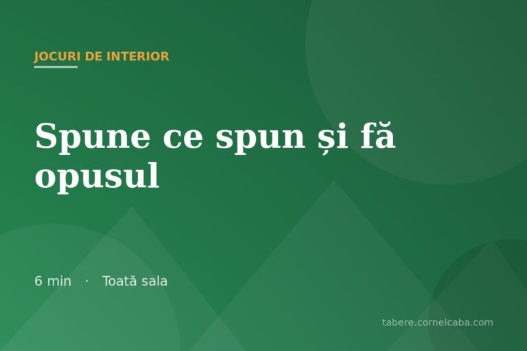 Ilustrație pentru jocul Spune ce spun și fă opusul