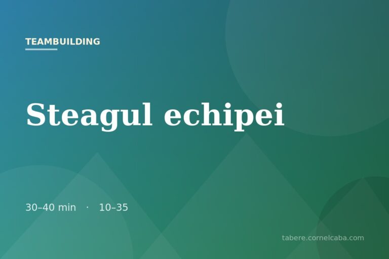 Ilustrație pentru jocul Steagul echipei