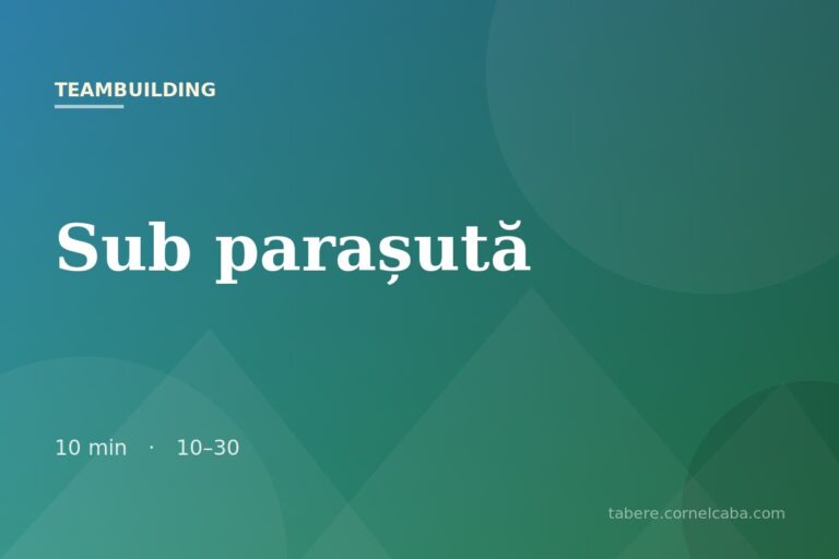 Ilustrație pentru jocul Sub parașută