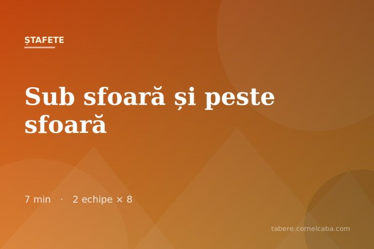 Ilustrație pentru jocul Sub sfoară și peste sfoară