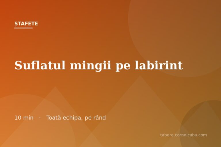 Ilustrație pentru jocul Suflatul mingii pe labirint