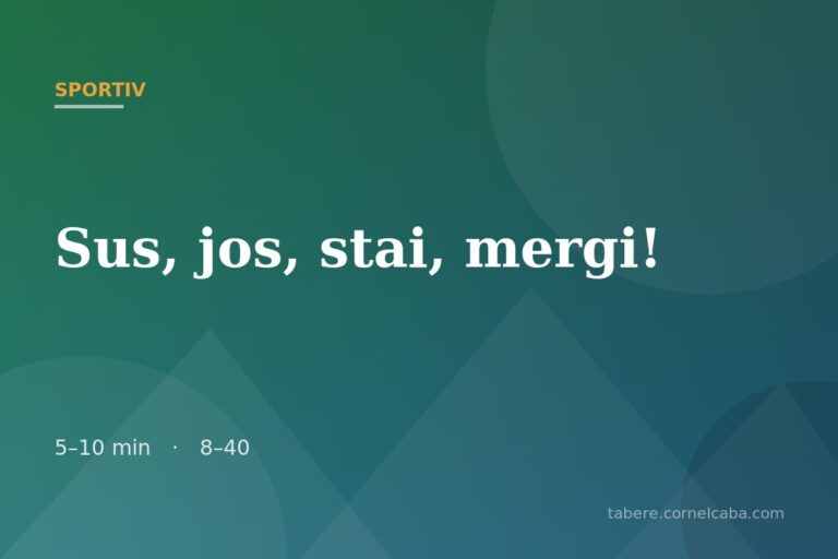 Ilustrație pentru jocul Sus, jos, stai, mergi!