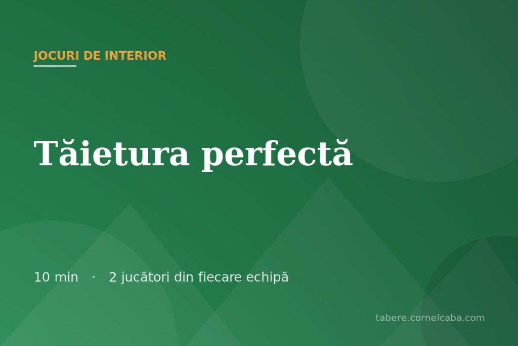 Ilustrație pentru jocul Tăietura perfectă