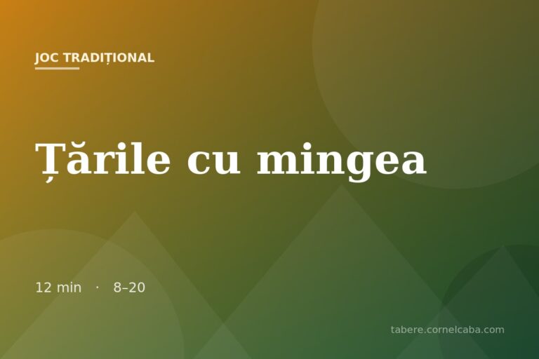 Ilustrație pentru jocul Țările cu mingea