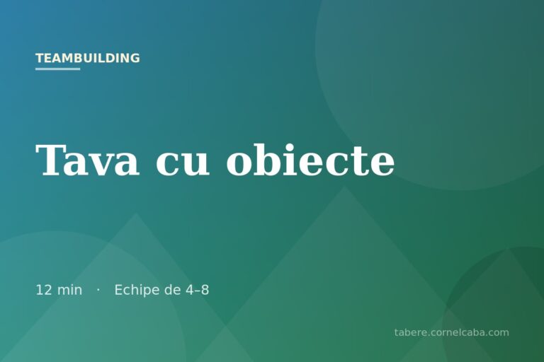 Ilustrație pentru jocul Tava cu obiecte