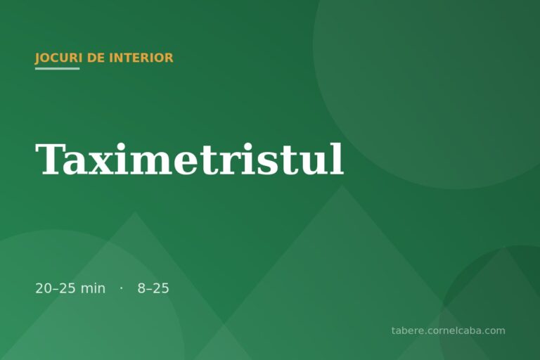 Ilustrație pentru jocul Taximetristul