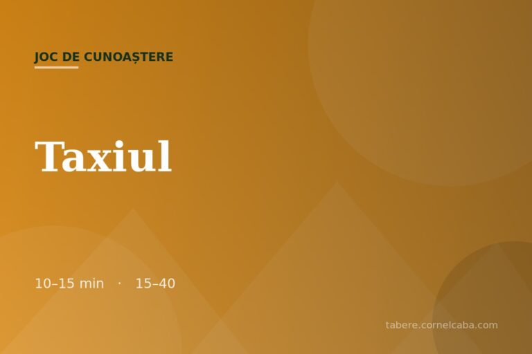 Ilustrație pentru jocul Taxiul