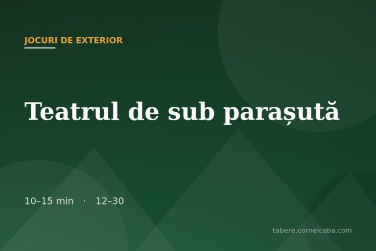 Ilustrație pentru jocul Teatrul de sub parașută