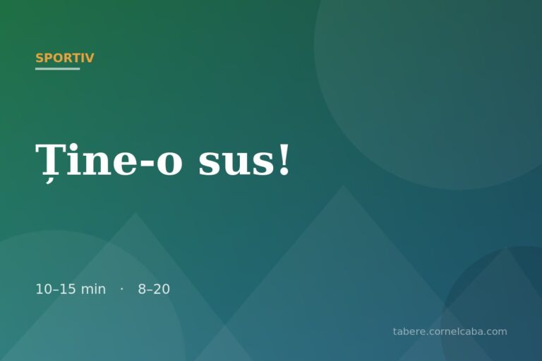 Ilustrație pentru jocul Ține-o sus!