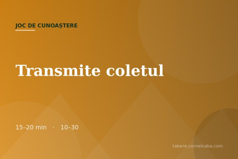 Ilustrație pentru jocul Transmite coletul