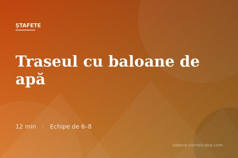 Ilustrație pentru jocul Traseul cu baloane de apă