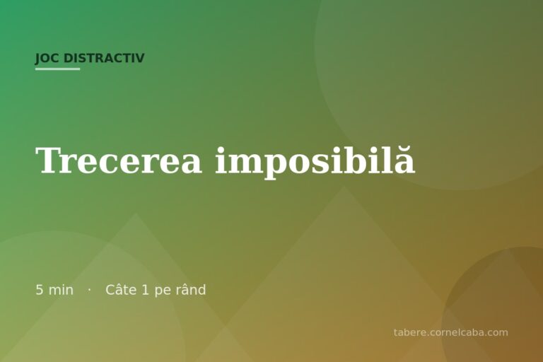 Ilustrație pentru jocul Trecerea imposibilă