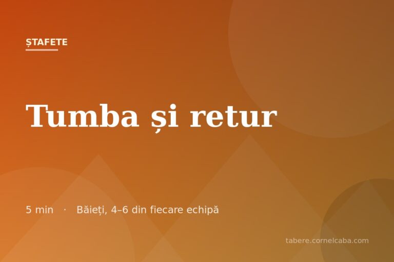 Ilustrație pentru jocul Tumba și retur