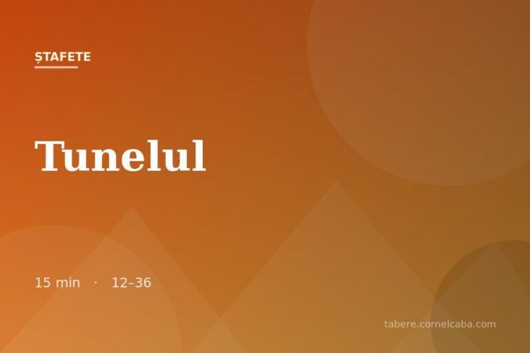 Ilustrație pentru jocul Tunelul