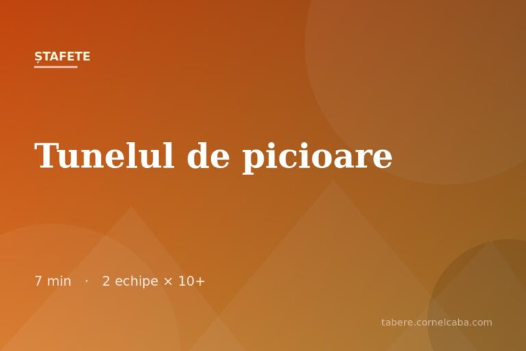 Ilustrație pentru jocul Tunelul de picioare