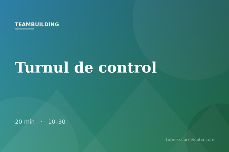 Ilustrație pentru jocul Turnul de control