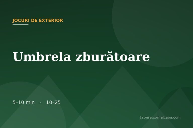 Ilustrație pentru jocul Umbrela zburătoare