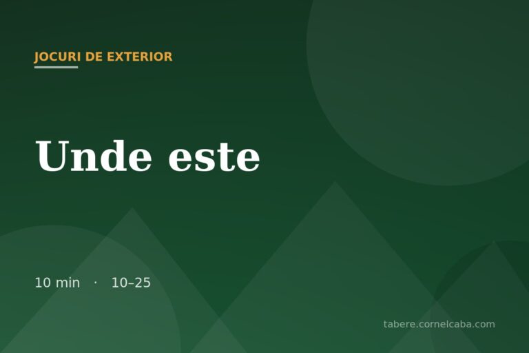 Ilustrație pentru jocul Unde este