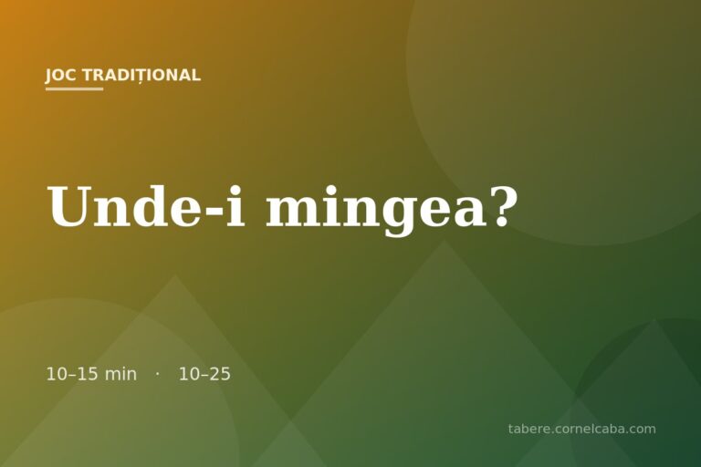 Ilustrație pentru jocul Unde-i mingea?