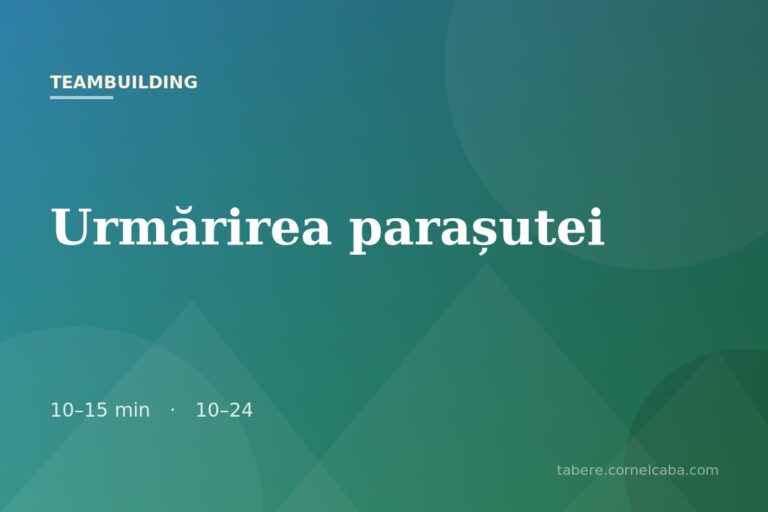 Ilustrație pentru jocul Urmărirea parașutei